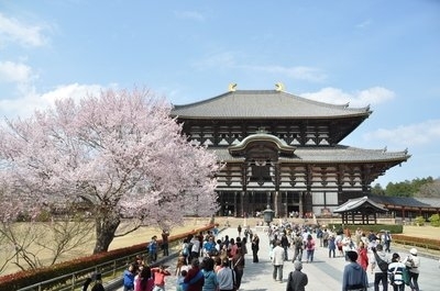 中國旅游團在日本遭地接‘甩團’ 旅游業務的反思與警示